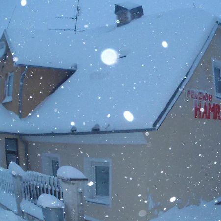 Penzion Hamrak Ceske Hamry Zewnętrze zdjęcie