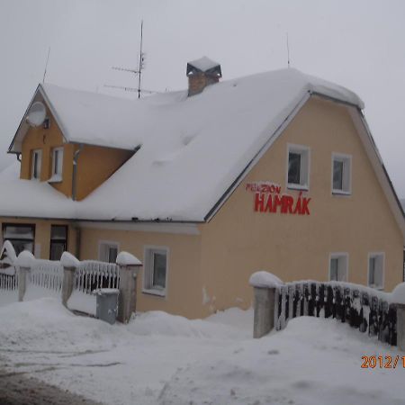 Penzion Hamrak Ceske Hamry Zewnętrze zdjęcie