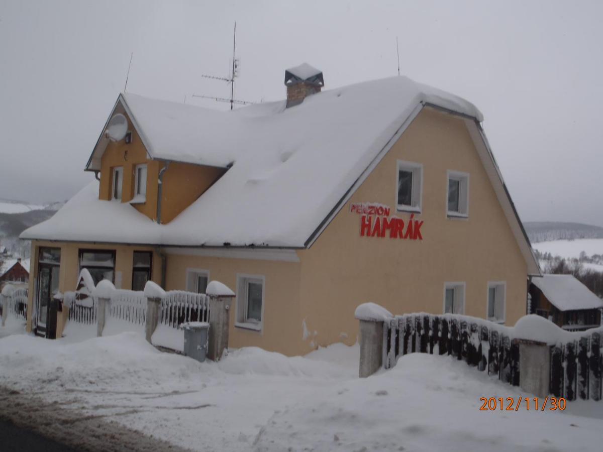 Penzion Hamrak Ceske Hamry Zewnętrze zdjęcie